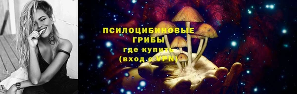 ешки Алексеевка