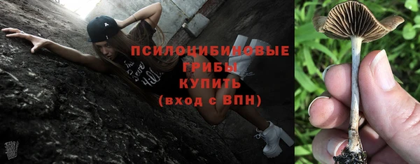 дмт Алзамай