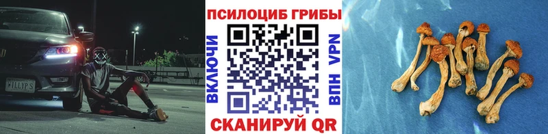 OMG как зайти  хочу наркоту  Югорск  Галлюциногенные грибы MAGIC MUSHROOMS 